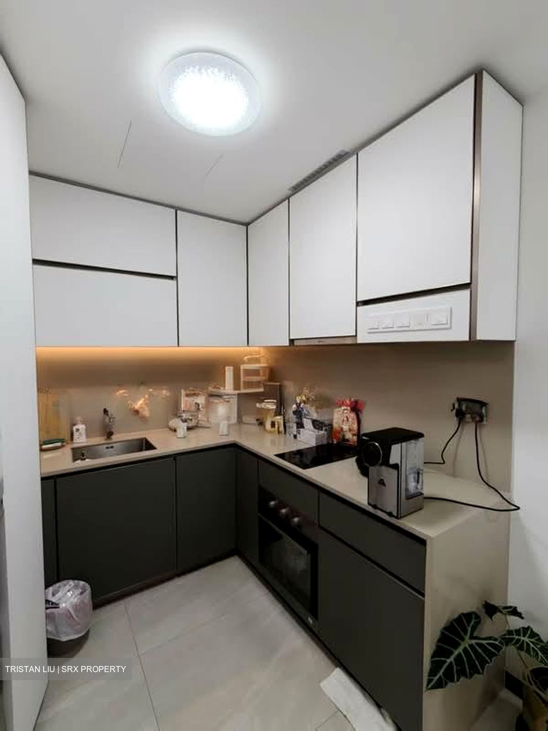 Normanton Park (D5), Apartment #560113641